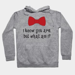 I KNOW YOU ARE, BUT WHAT AM I Hoodie